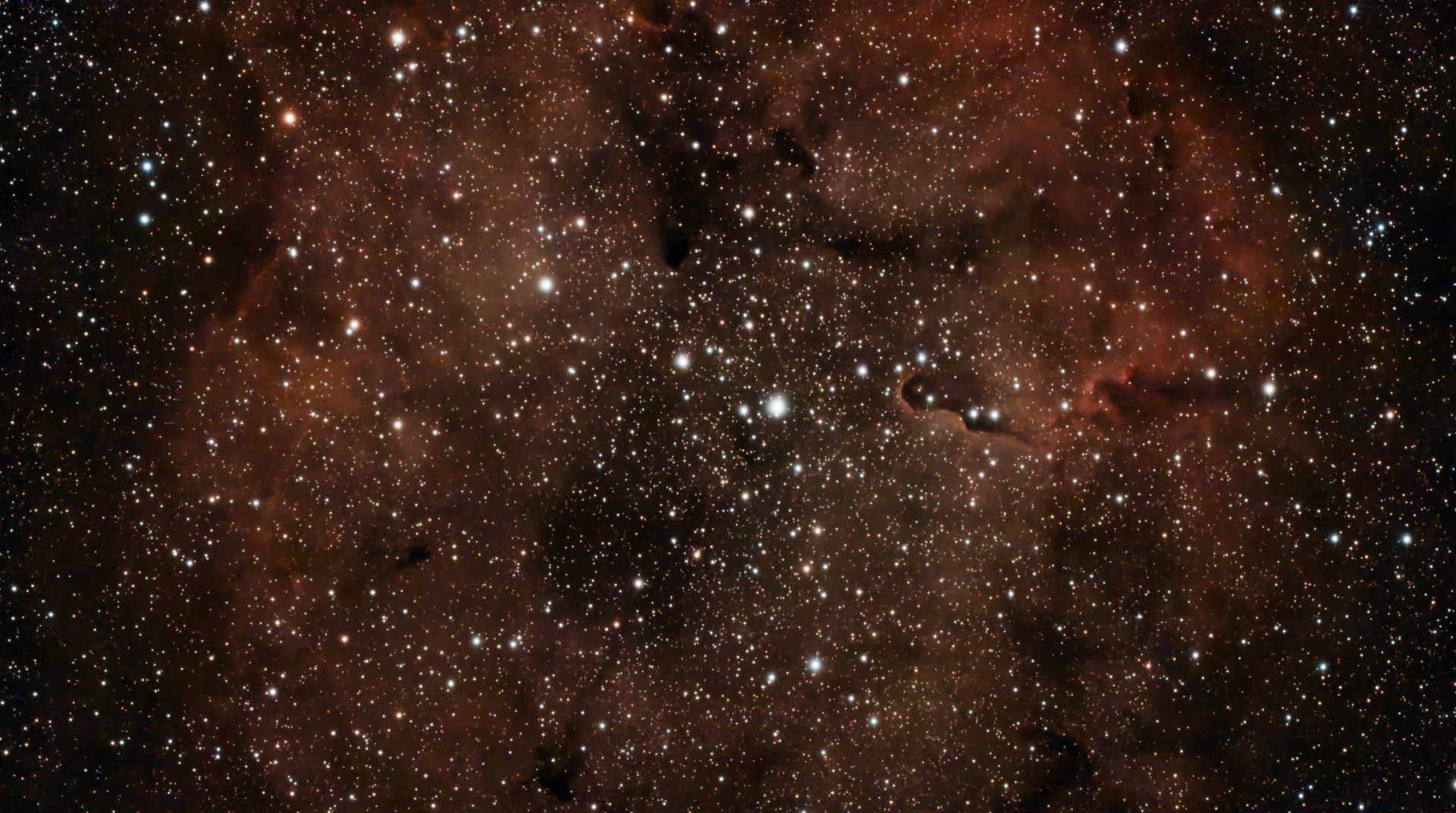 Elephant's Trunk Nebula in Cepheus