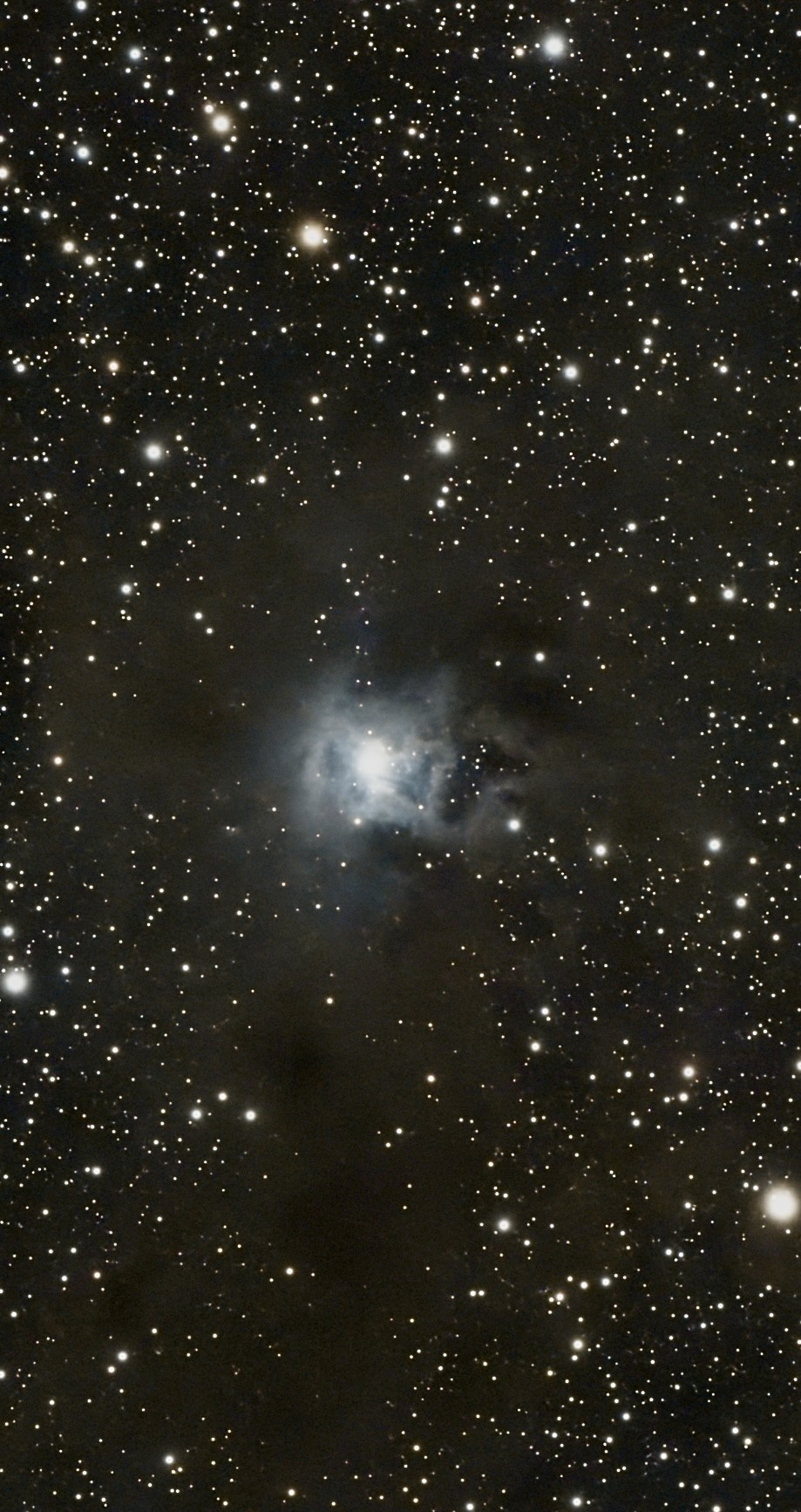 Iris Nebula reflection nebula in Cepheus